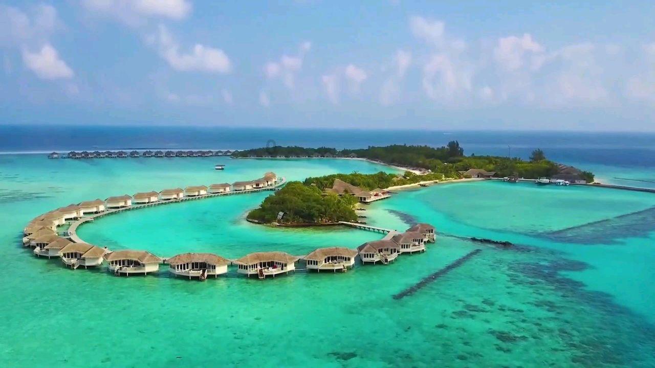 自己出事了没一个人在怎么办?-最好用的问答类网站